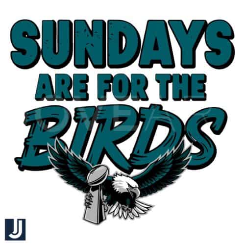 Sundays Belong to the Birds Eagles Football PNG