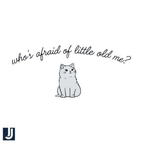 Whos Afraid of Little Old Me Cat TTPD Swift SVG