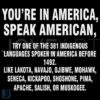 Youre in America Speak One of 381 Indigenous Languages SVG