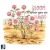 Bloom Where Youre Planted Retro Floral PNG Design
