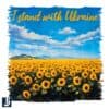 I Stand With Ukraine Sunflower Field PNG