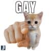 Sassy Gay Pointing Cat PNG Iconic Hilarious Clipart
