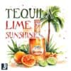 Sippin Tequila Lime Sunshine Funny Summer PNG